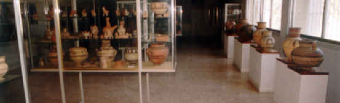 Археологический Музей Лимассола