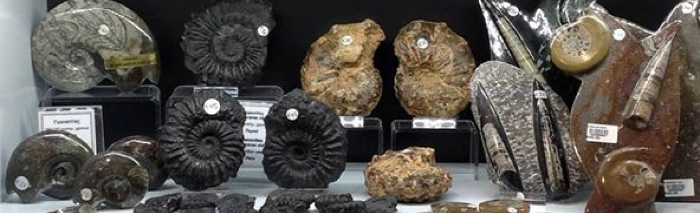Prehistoric Treasures, магазин доисторических подарков и украшений в ТЦ MYMALL, Лимассол