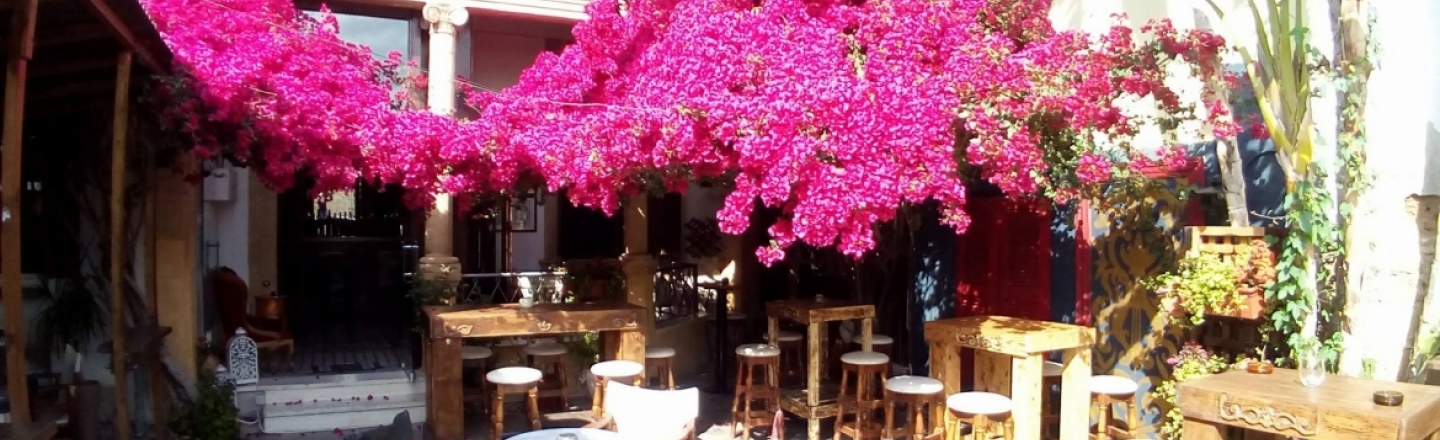 Ресторан и бар Korniza Baroque в Никосии