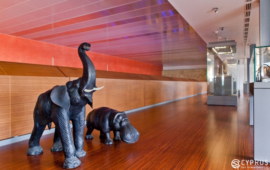 Thalassa Museum, Музей моря в Айя-Напе, реконструкции карликовых слона и гиппопотама
